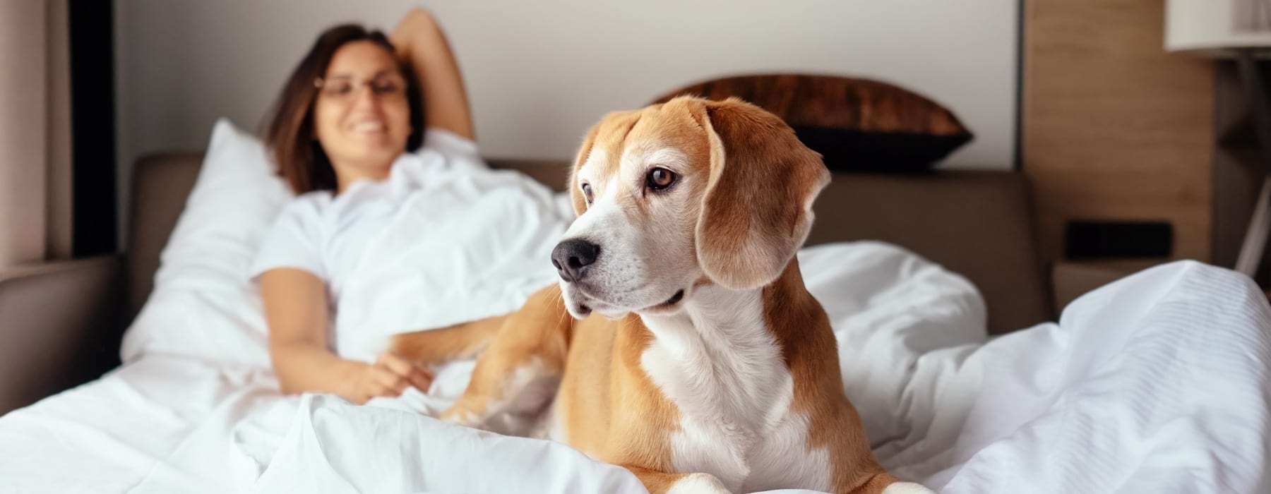 A Pet Friendly Community